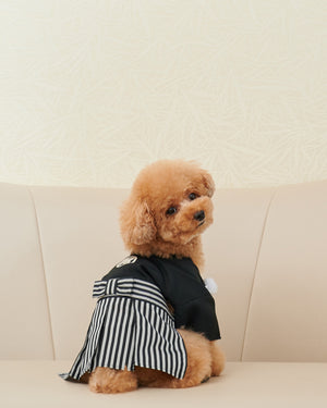 犬服　紋付_M-004　（サイズ：ⅩS）