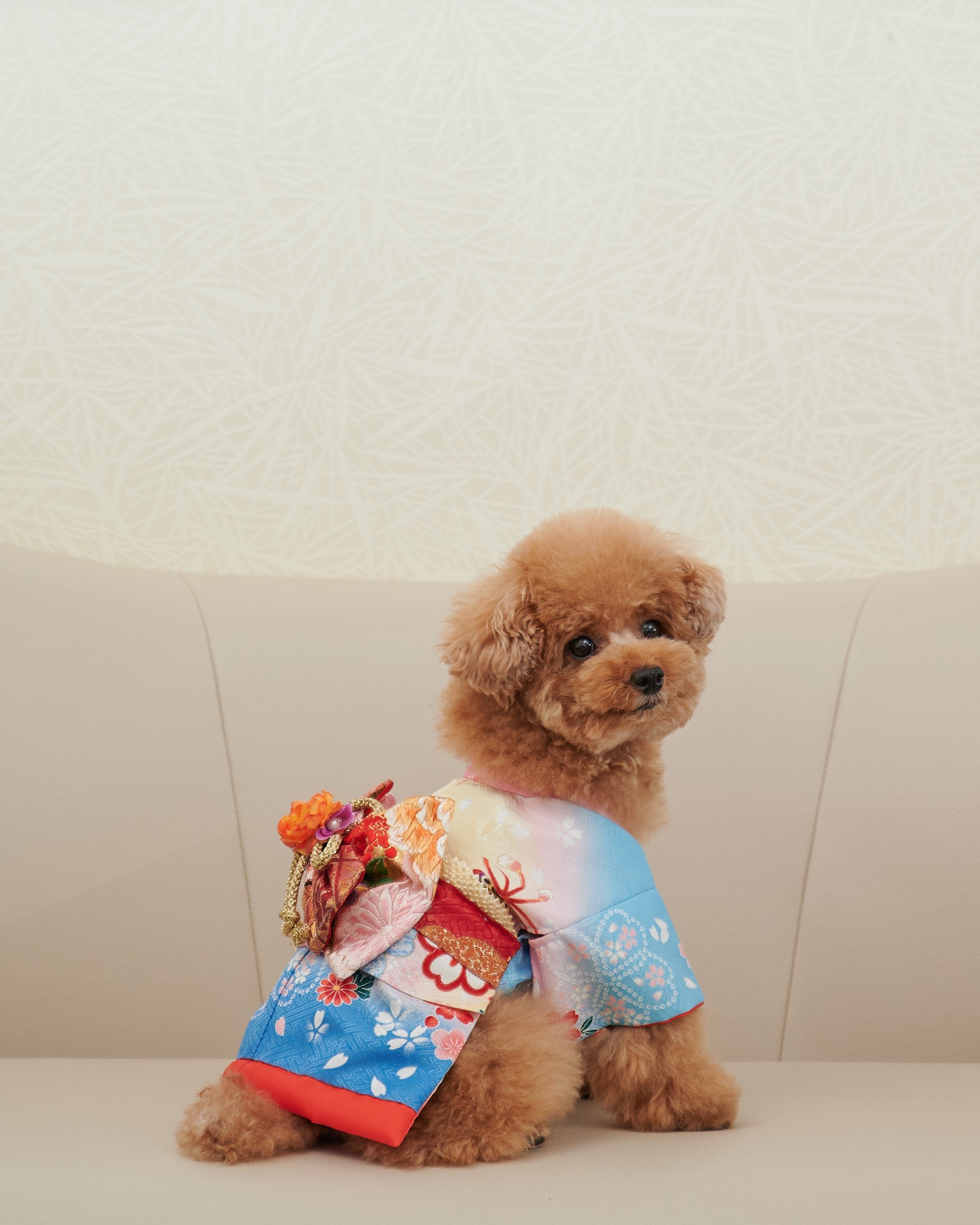 DreSSED One］和装（打掛・袴） – hanayagi_dress